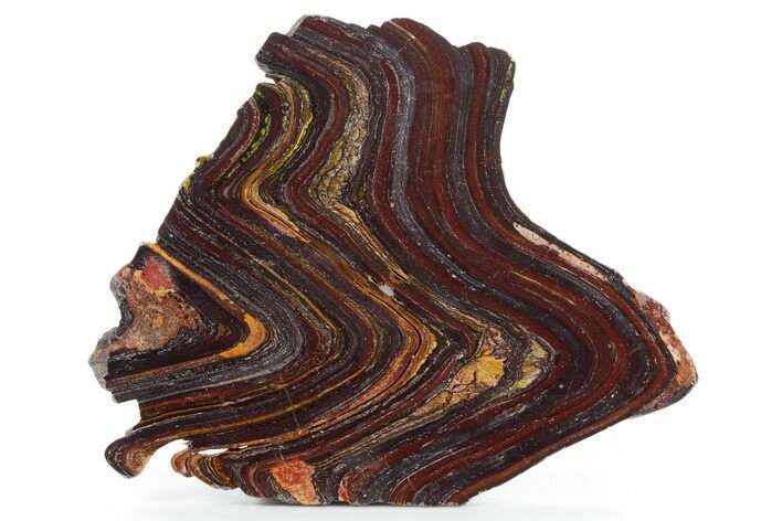 Polished Tiger Iron Stromatolite Slab - Billion Years #354894